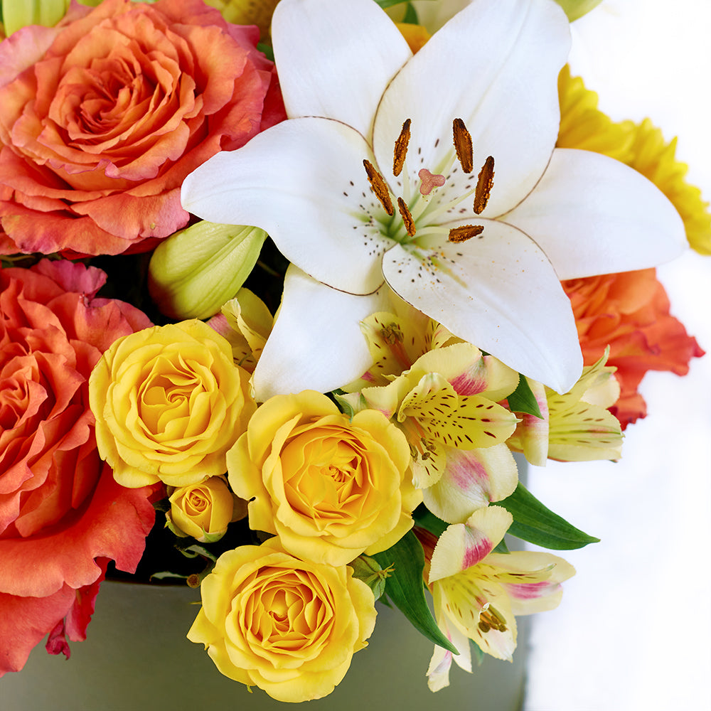 Summer Glow Mixed Arrangement – Canada Blooms - Canada Delivery
