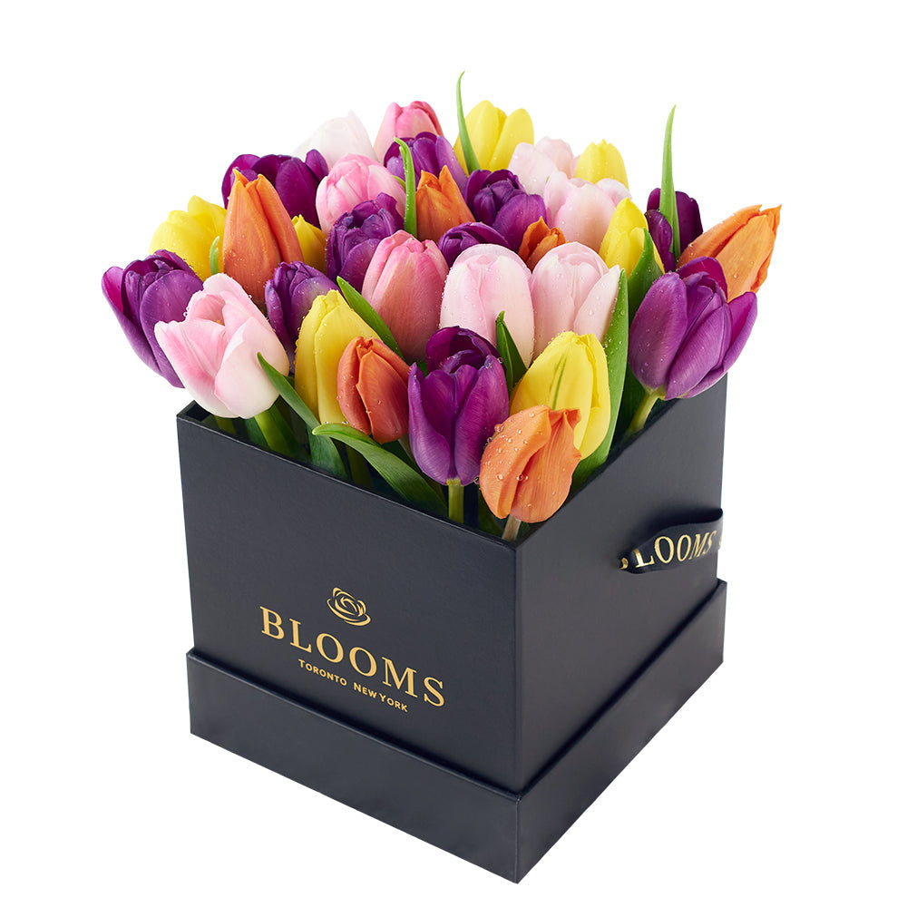 Summer Splash Tulip Arrangement - Floral Gift Box – Canada Blooms - Canada Delivery