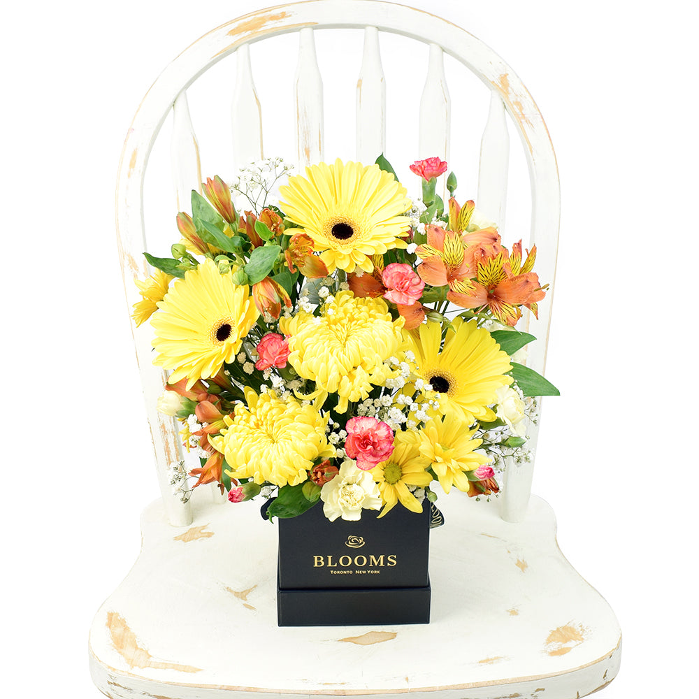 Sunrise Mixed Floral Arrangement, flowers in shades of yellow including, gerbera, alstroemeria, spider chrysanthemums, mini carnations, daisies, and baby’s breath in a square black hat box, Floral Gifts from Canada Blooms - Canada Delivery