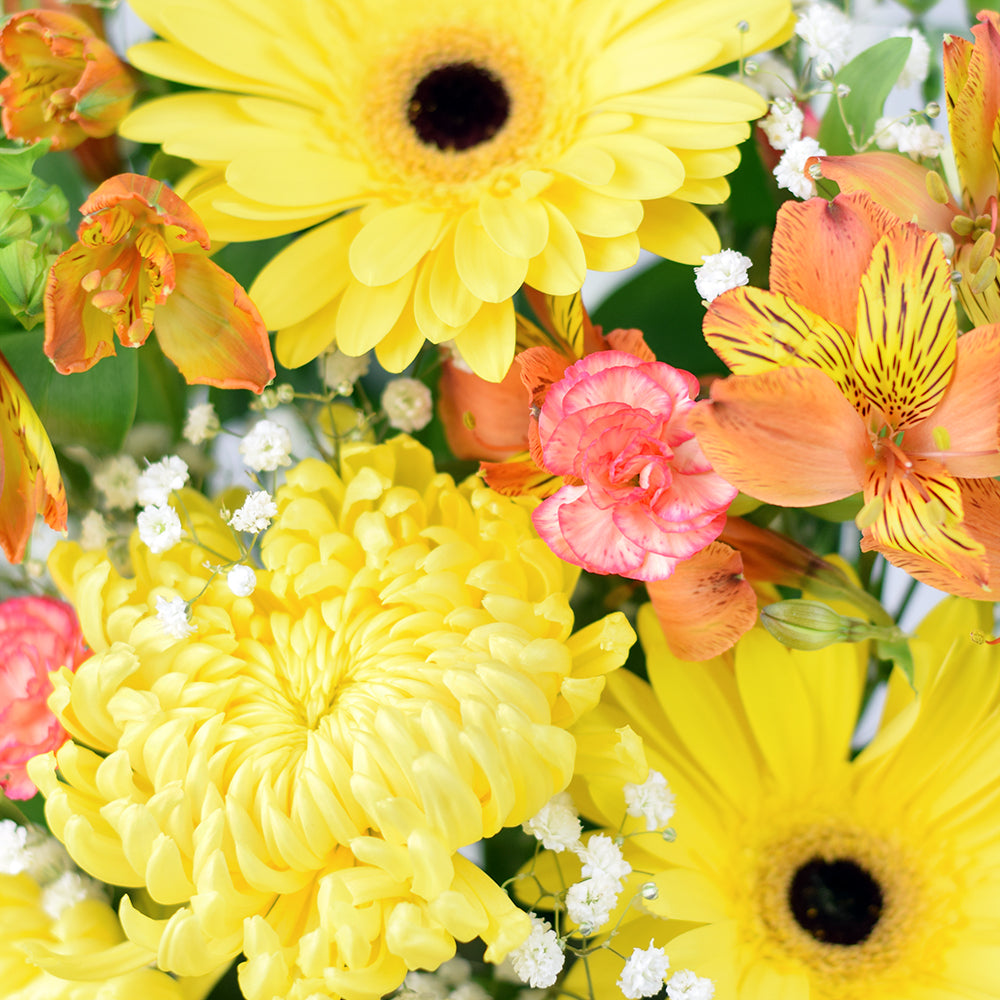 Sunrise Mixed Floral Arrangement, flowers in shades of yellow including, gerbera, alstroemeria, spider chrysanthemums, mini carnations, daisies, and baby’s breath in a square black hat box, Floral Gifts from Canada Blooms - Canada Delivery