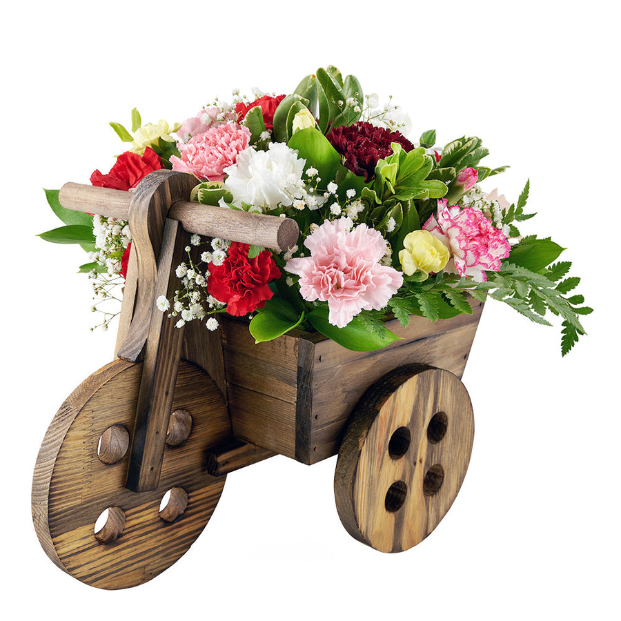 Sweet Talk Floral Gift Set, selection multi-coloured carnations, baby’s breath, and greens in a charming wooden cart planter, a bottle of red wine, Floral Gifts from Blooms Canada - Same Day Canada Delivery.