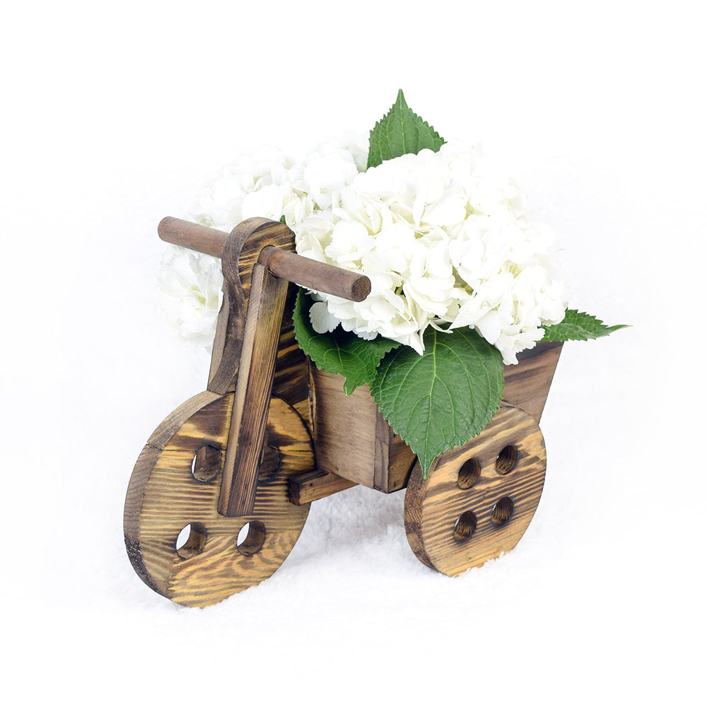 Take Me To Florence Hydrangea Bouquet, gorgeous white hydrangeas arranged in a wooden bicycle planter, Flower Gifts from Canada Blooms - Canada Delivery