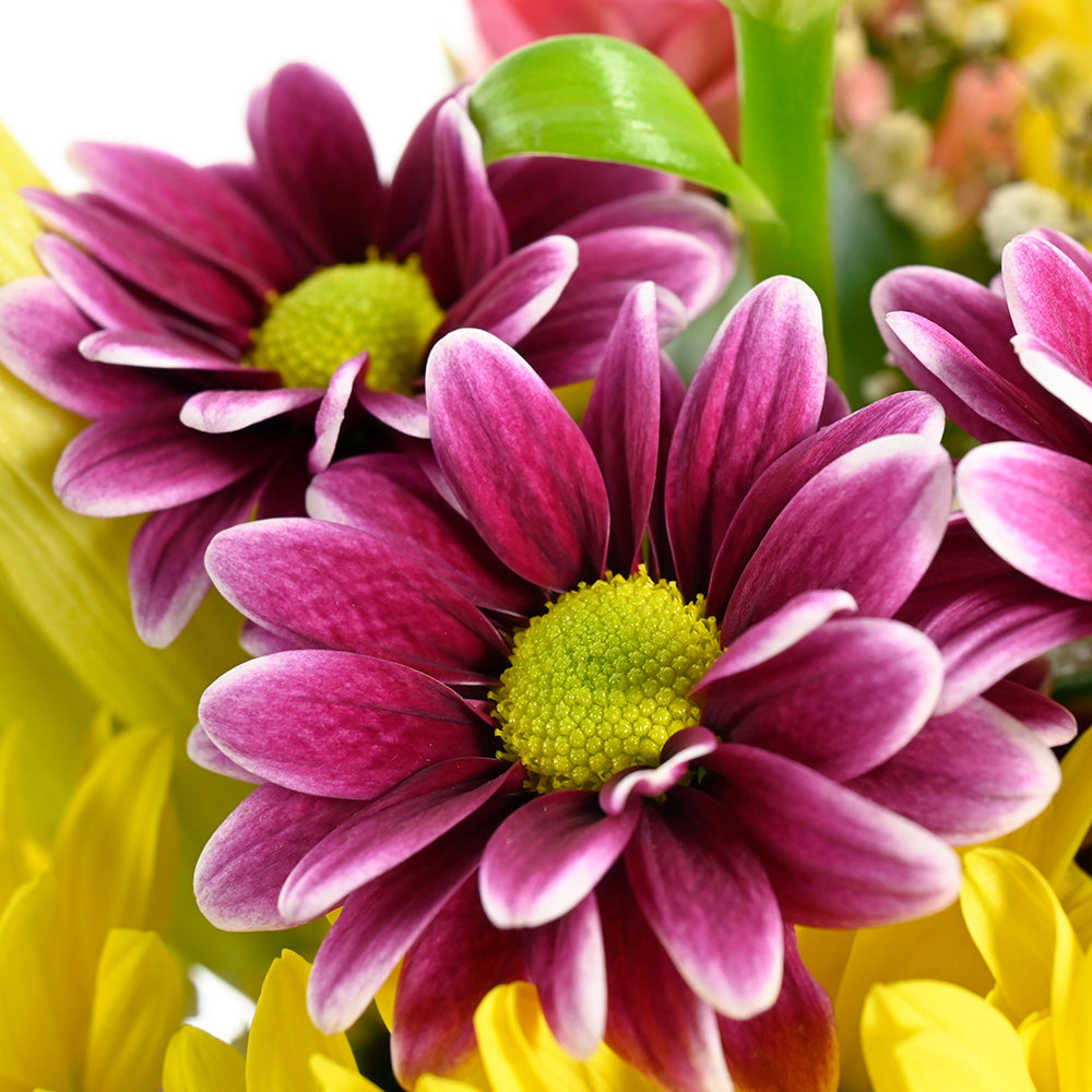 The Best Mother's Day Floral Gift - Wooden Planter Mix Floral Gift Basket – Canada Blooms - Canada Delivery