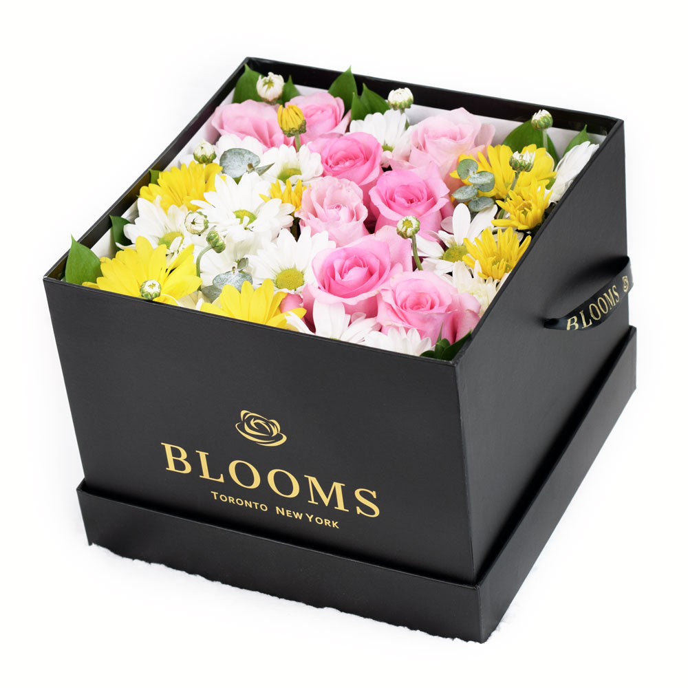 Mixed flower Rose and Daisies box – Canada Blooms - Canada Delivery