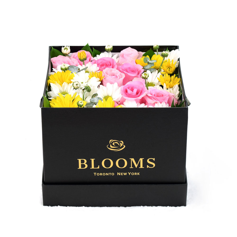 Mixed flower Rose and Daisies box – Canada Blooms - Canada Delivery