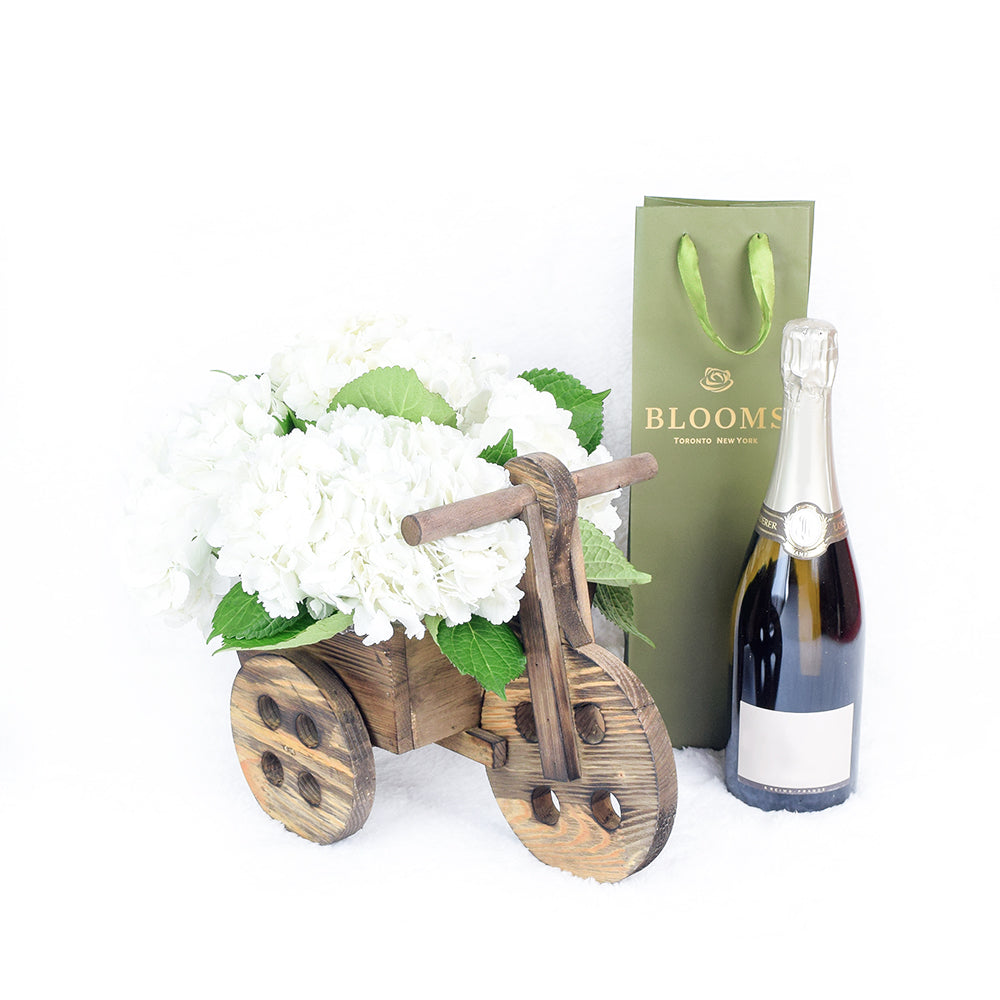 Tuscan Countryside Flowers & Champagne Gift, charming bicycle-shaped planter, paired with a bottle of fine champagne, Flower Gifts from Canada Blooms - Canada Delivery