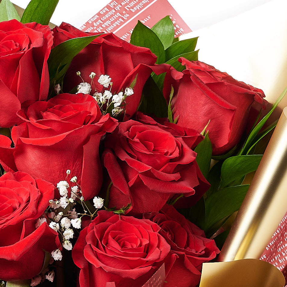 Valentine's Day 12 Stem Red Rose Bouquet With Box & Bear, plush, roses, Valentine's day gifts, – Canada Blooms - Canada Delivery