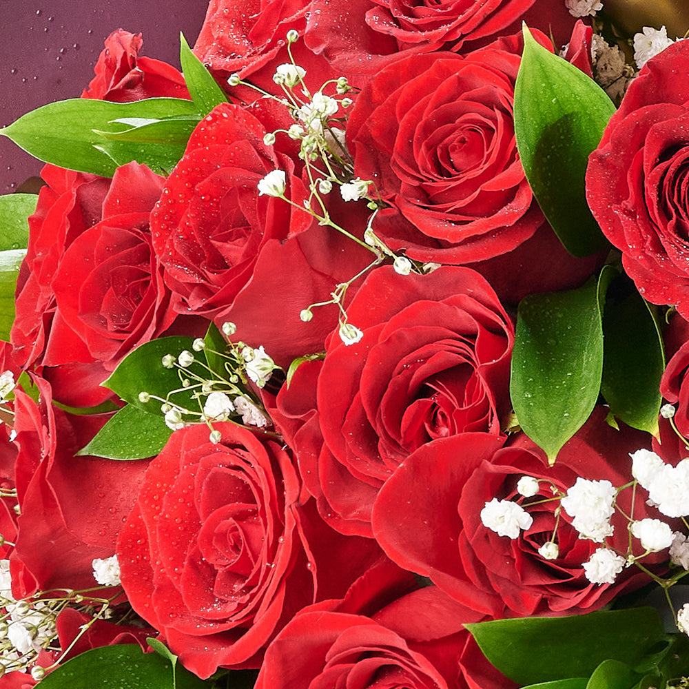 Valentine's Day 24 Red Roses Bouquet, 24 red roses gathered with Salal and Baby's Breath in a floral wrap and tied with designer ribbon, Holiday gifts from Canada Blooms - Canada Delivery