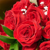 Valentine's Day Dozen Red Roses Bouquet, valentines day gift, valentines day, valentines gift, valentines, rose gift, rose, bouquet gift, bouquet, flower gift, flower – Canada Blooms - Canada Delivery