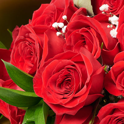 Valentine's Day Dozen Red Roses Bouquet, valentines day gift, valentines day, valentines gift, valentines, rose gift, rose, bouquet gift, bouquet, flower gift, flower – Canada Blooms - Canada Delivery