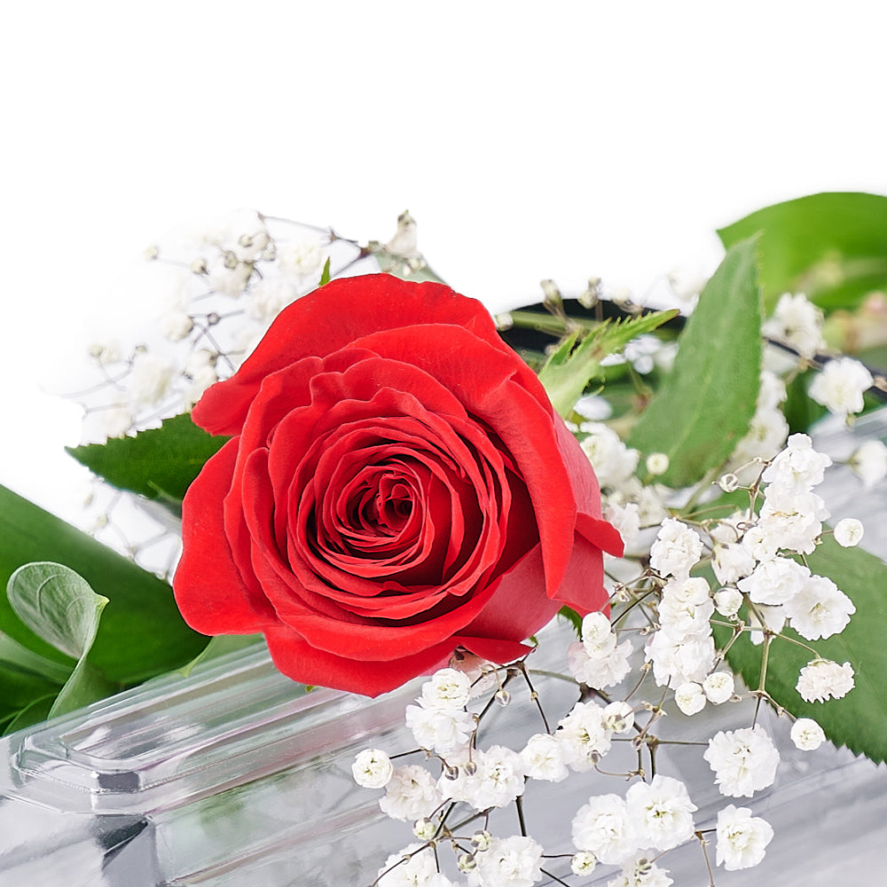 Valentine's Day Single Red Rose, Canada Same Day Flower Delivery, Valentine's Day gifts, roses. – Canada Blooms - Canada Delivery