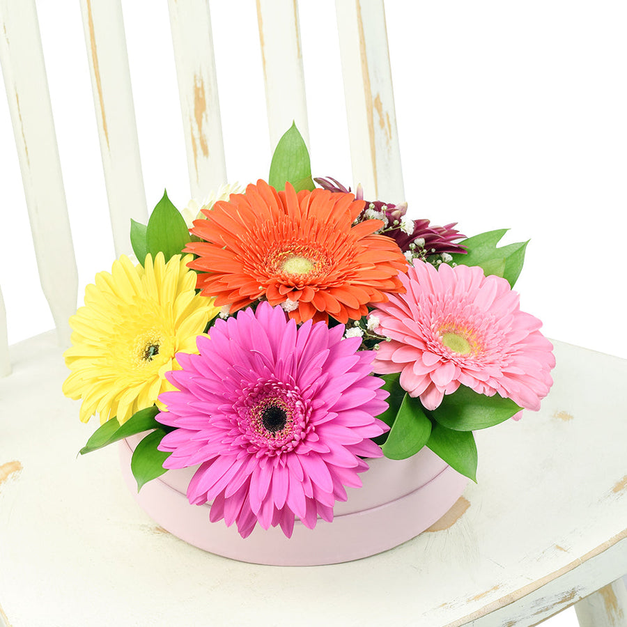 Floral Daisy Hat box arrangement in bright colours. Same Day Canada Delivery. Blooms Canada Delivery