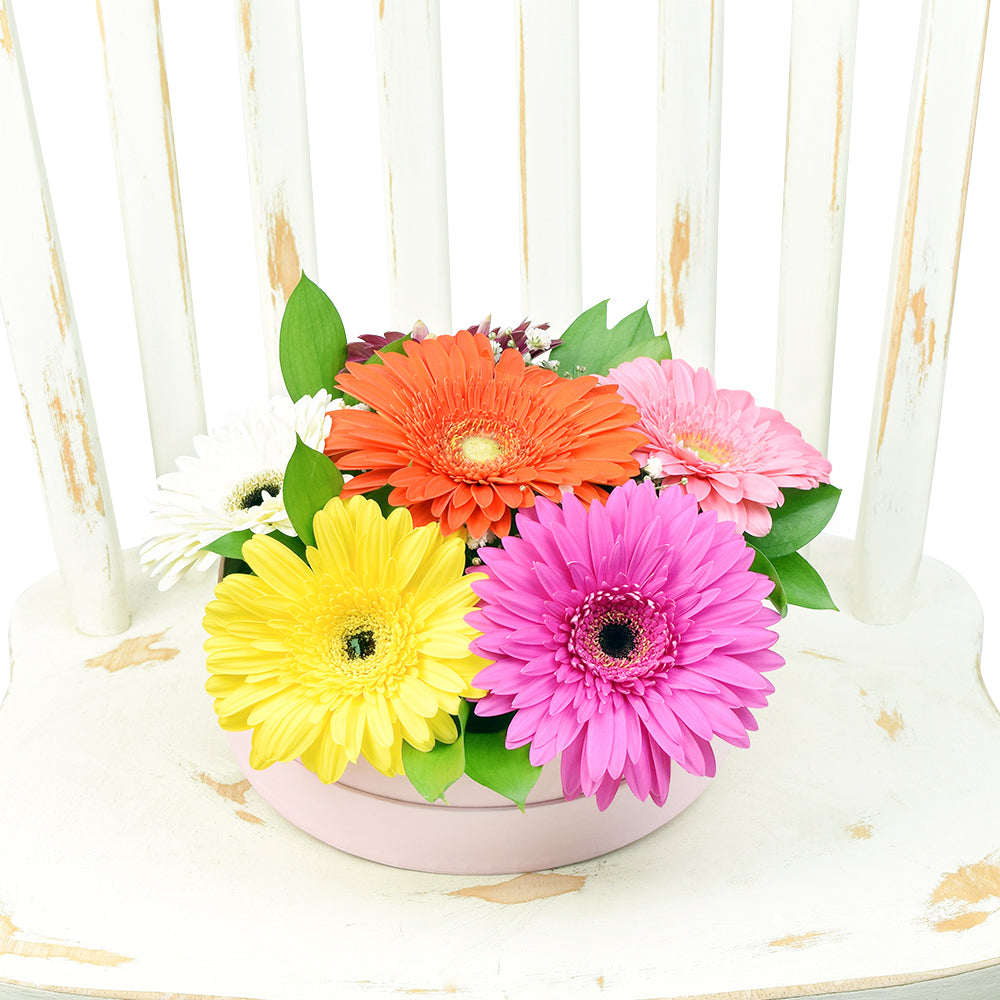 Floral Daisy Hat box arrangement in bright colours. – Canada Blooms - Canada Delivery