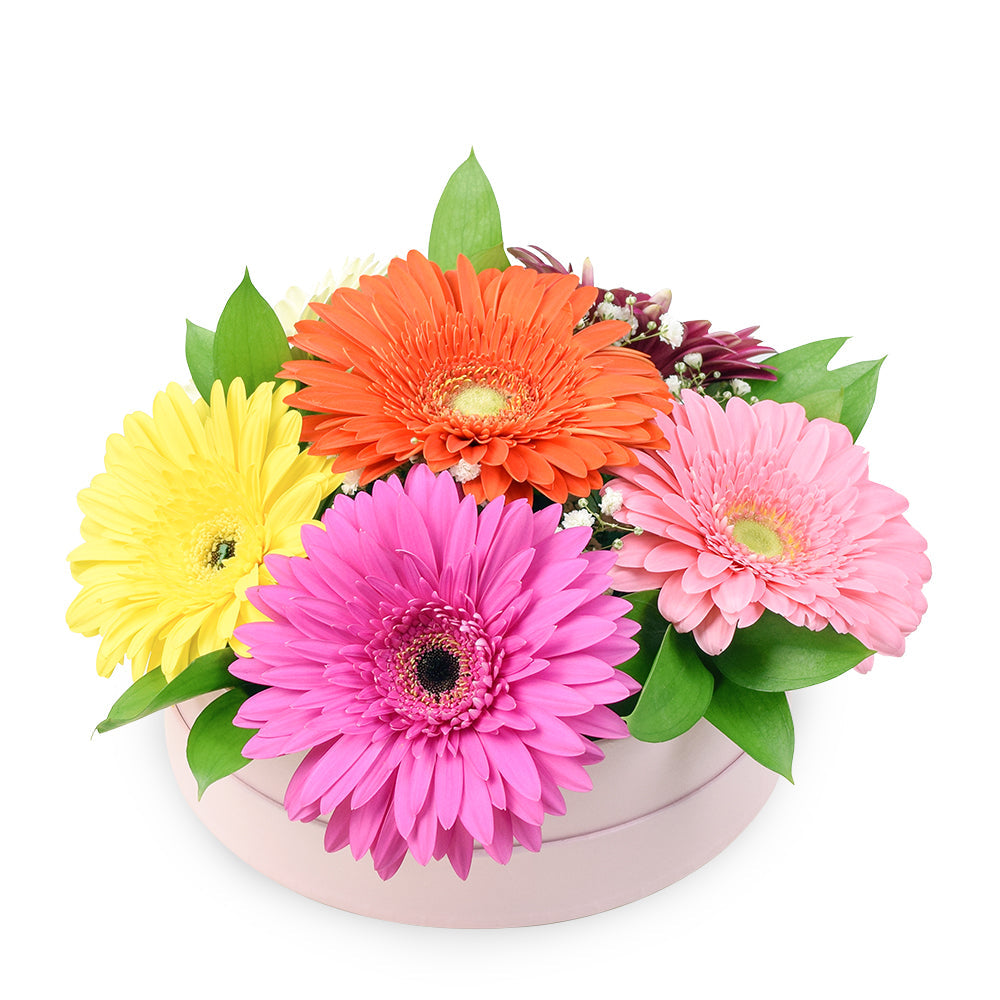 Floral Daisy Hat box arrangement in bright colours. – Canada Blooms - Canada Delivery