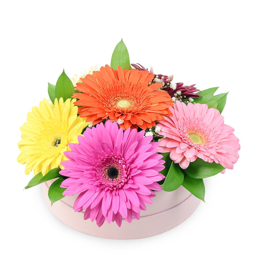 Floral Daisy Hat box arrangement in bright colours. – Canada Blooms - Canada Delivery